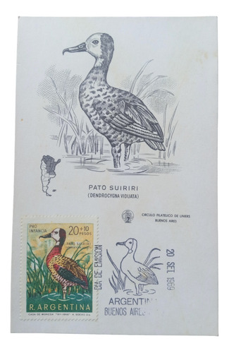 2 Tarjetas Aves Pato Suiriri Capintero Listado Infania 1969