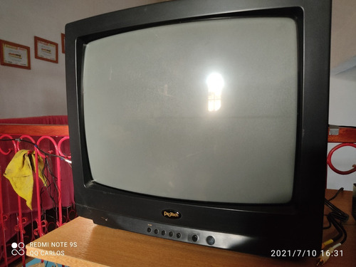 Tv 20 Protech ( Tv Color De Tubo )