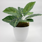 Planta Artificial Interior Maceta Nordica Plastica Blanca 