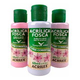 Kit 6 Tintas Acrílica Fosca 60 Ml Acrilex