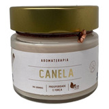 Vela Perfumada Canela Atria Aromática Indiana 140g