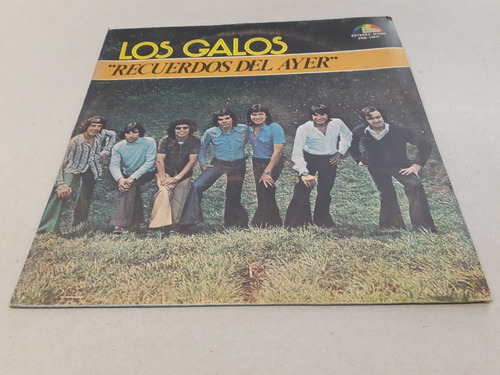 Recuerdos Del Ayer, Los Galos - Lp Vinilo 1974 Nacional 8/10