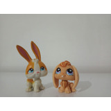 Pack De Dos Littlest Pet Shop Originales Usados.