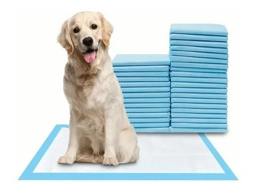 40 Pañales Tapetes Entrenadores Para Perro Mascotas 