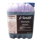 Shampoo Matizador Morado Para Mechas 10 Lts