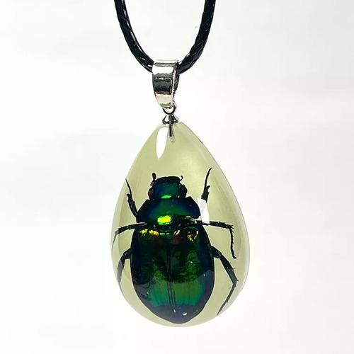 Collar Gota Escarabajo Chino Encapsulado Insecto Luminoso