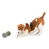 Comedero Lento Interactivo Para Perros Petsafe Kibble Chase