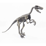 Dinohuesos Velociraptor, Dinosaurio Armable Jurrasic Kit