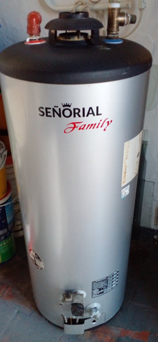 Termotanque Señorial Family 85 Litros