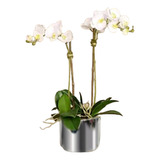 Arreglo De Orquídeas Artificiales Blancas Y Base Plata