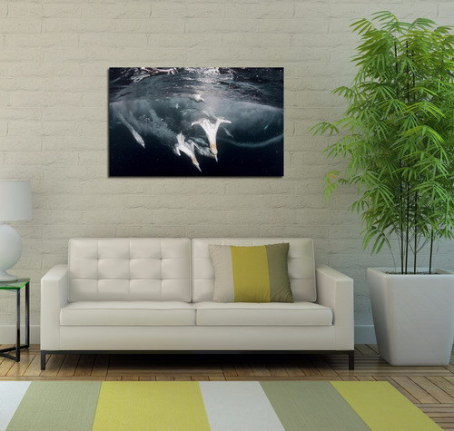 Vinilo Decorativo 40x60cm Animales Aves Pescando National