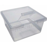 Caja Plástica Mini Para Lings Crias De Araña Tarantulas