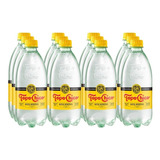 Agua Mineral Topo Chico 12 Pzas De 600 Ml 