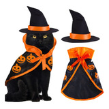 Disfraz De Gato Para Halloween De Bruja Divertido