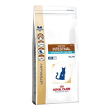 Alimento Gatos Royal Canin Gastrointestinal Moderate  2kg