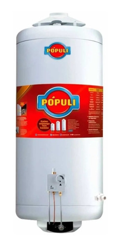 Termotanque Ecotermo Populi100 Conexion Superior Gas Natural