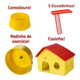 Gaiola De Hamster Com Casa Grande Completa 3 Andares Tubo Cor Lilás