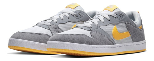 Tenis Skateboarding Nike Sb Alleyoop Gris 