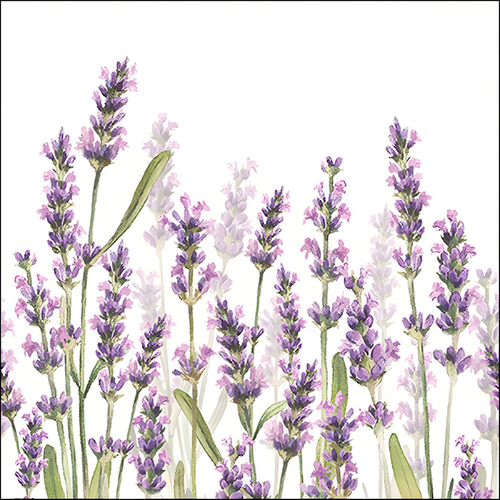 Guardanapo Para Decoupage Ambiente Lavanda Branco 20 Unid Cor Colorido