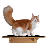 Prateleira Step Base Para Gatos Grandes