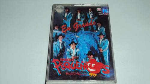 Cassette Pequeños Musical En Grande