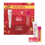 Burt's Bees Lip Passion Kit Balsamo De Labios