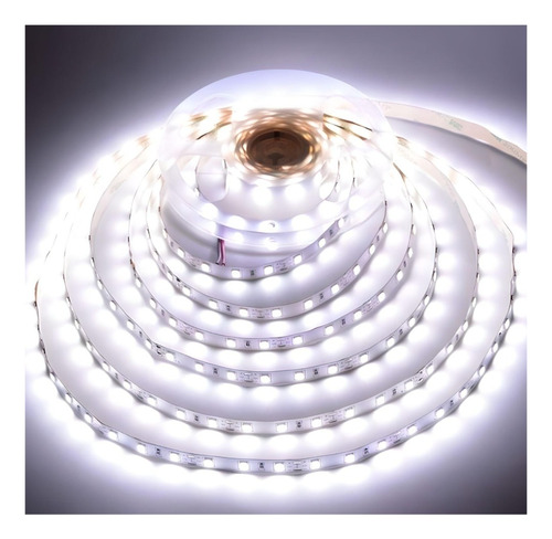 Tira Led 4040 Exterior Rollo 5mts 300 Led Blanco Frio/cálido