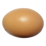 12 Huevos Fértiles De Gallina Brahma 
