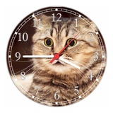 Relógio Parede Animais Gato Decorar Salas Pet Shop F