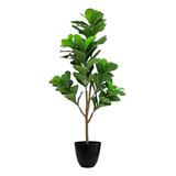 Planta Pandurata Artificial Decorativa Con Maceta