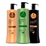 Haskell Kit 3 Shampoos Jaborandi Cavalo Forte E Mandioca 1l