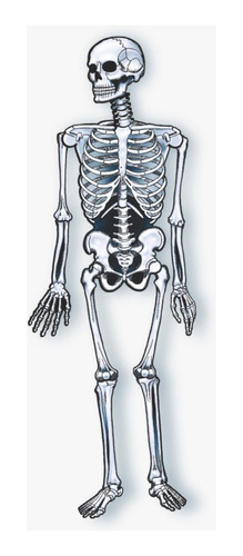  Esqueleto De Papel Articulado Decorativo Halloween 1,30 Gd