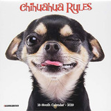 Chihuahua Rules Mini 2019 Wall Calendar (dog Breed Calendar)