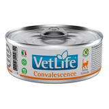 3x Vetlife Convalescense Gatos 85g Humedo