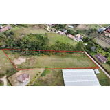 Lote En Venta En Guarne - Toldas