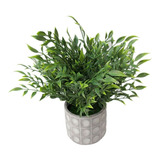 Planta Decorativa Artificial Laurus