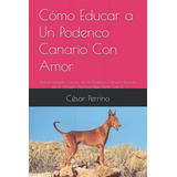 Como Educar A Un Podenco Canario Con Amor: Adiestramiento Ca