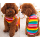 Vestido Para Mascotas Arcoíris 