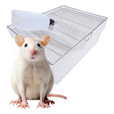 Biotério Ratos Camundongos Mercol Hamster - Médio Nº03