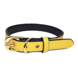 Collar Wonder Dog Eco-cuero Colores Talla M Pethome