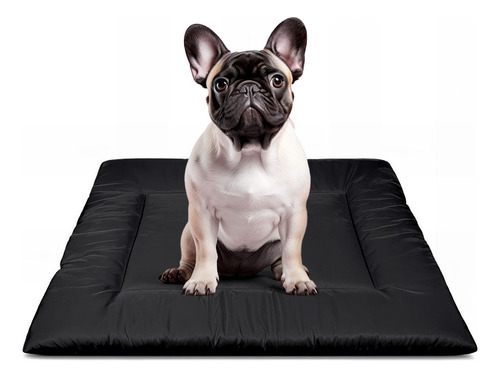 Colchonete Cama De Cachorro Caminha Pet 80x60 Cores