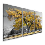 Quadros Decorativos 3 Peças Árvore Ipê Amarelo 3mm