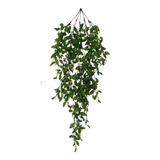 Pendente De Mini Folhas Jibóia Artificial Arranjo Ficus