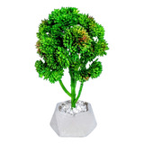 Bonsai Colorido - Mini Árvores Artificial Plantas Arranjos