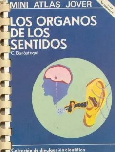 C. Barastegui: Los Organos De Los Sentidos - Mini Atlas