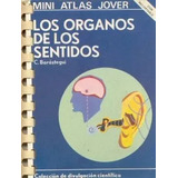 C. Barastegui: Los Organos De Los Sentidos - Mini Atlas