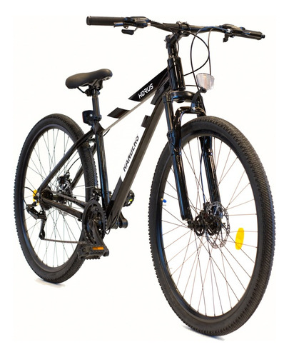 Bicicleta Mtb Rodado 29 Horus 21vel Randers Talle L 