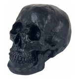 Crânio Caveira Tamanho Real Preto Black Skull Decorativo