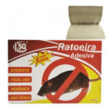 Kit Com 10 Ratoeira Pega Rato Cola Rato Sq