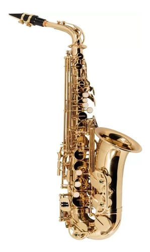 Saxofone Alto Vogga Vsas701n